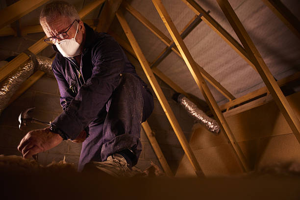 Best Geographic-Specific Insulation Services in Lakesite, TN