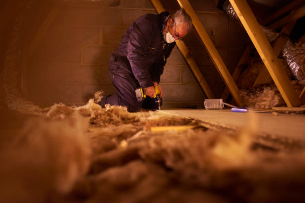 Best Cellulose Insulation in Lakesite, TN